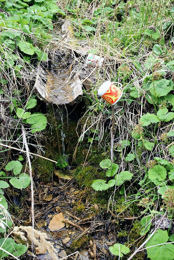 studánka Na Pasece (8324)