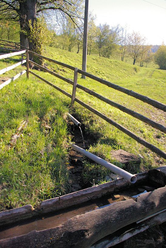 studánka U tří lip (8338)