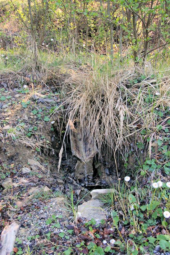 studánka Pod posedem (8339)
