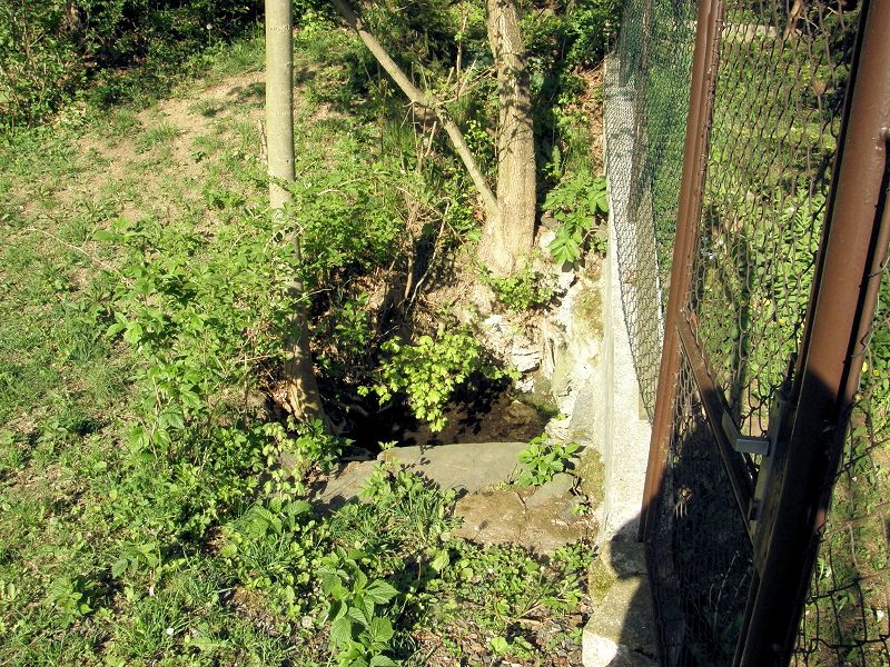 studánka V podhájí (8340)