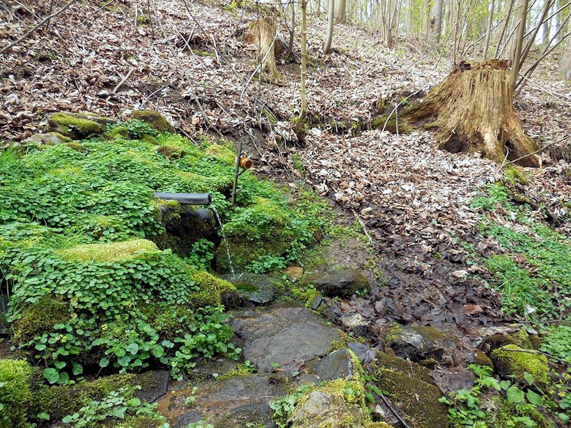Zboženská studánka (8348)