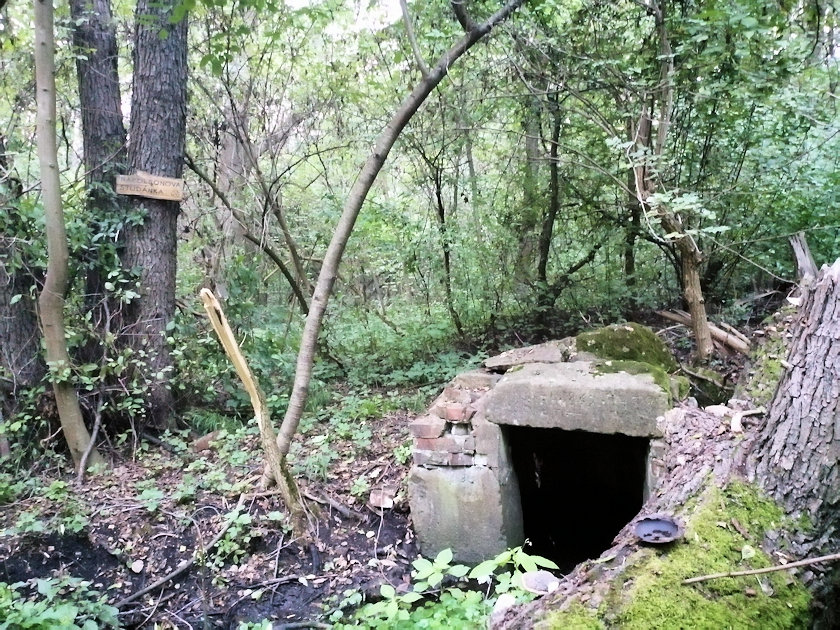 Napoleonova studánka (8349)
