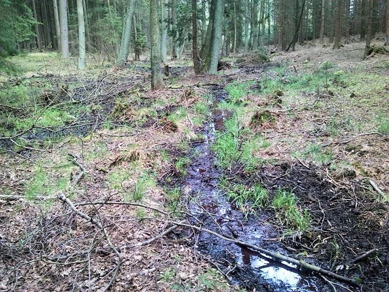 prameniště Pod písníkem (8355)
