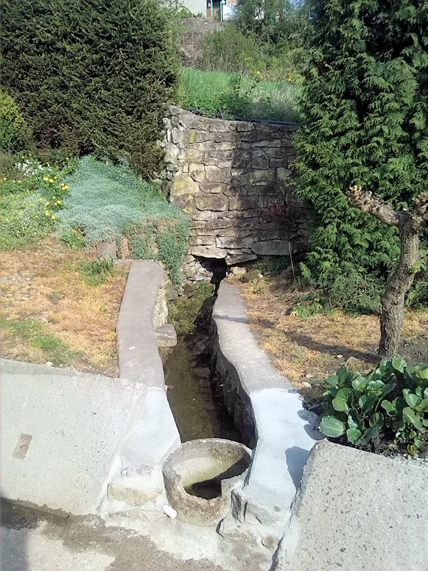 studánka Na dolním konci (8359)
