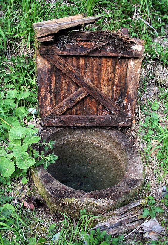 studánka Pod Bíliskem (8368)