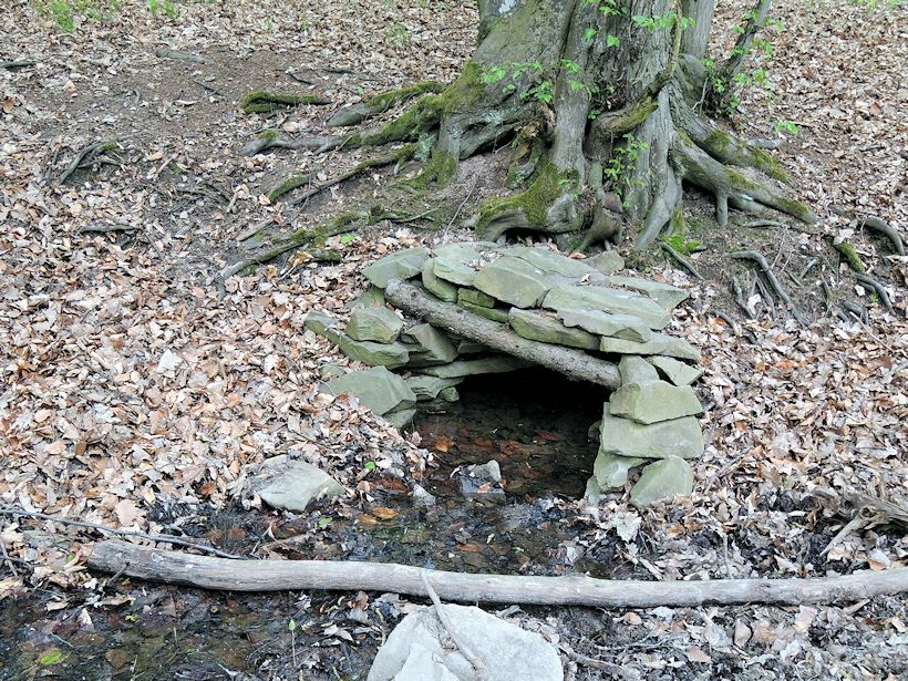 studánka bez jména (8373)