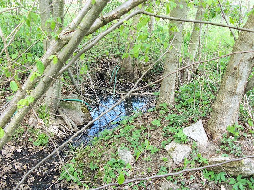 Dobrotická studánka (8377)