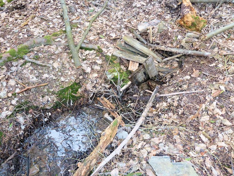 studánka Vevevary (8383)