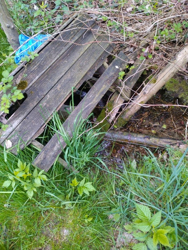 studánka bez jména (8384)