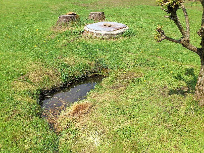 studánka bez jména (8389)
