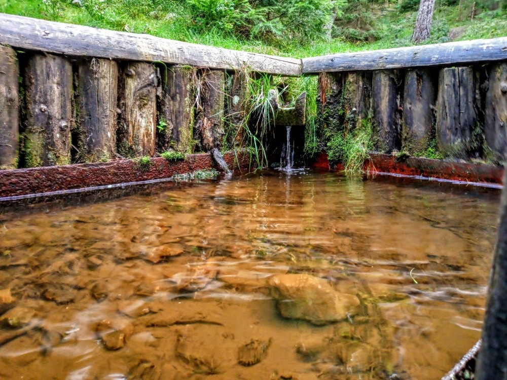 studánka Pod Šibeničním vrchem (8395)