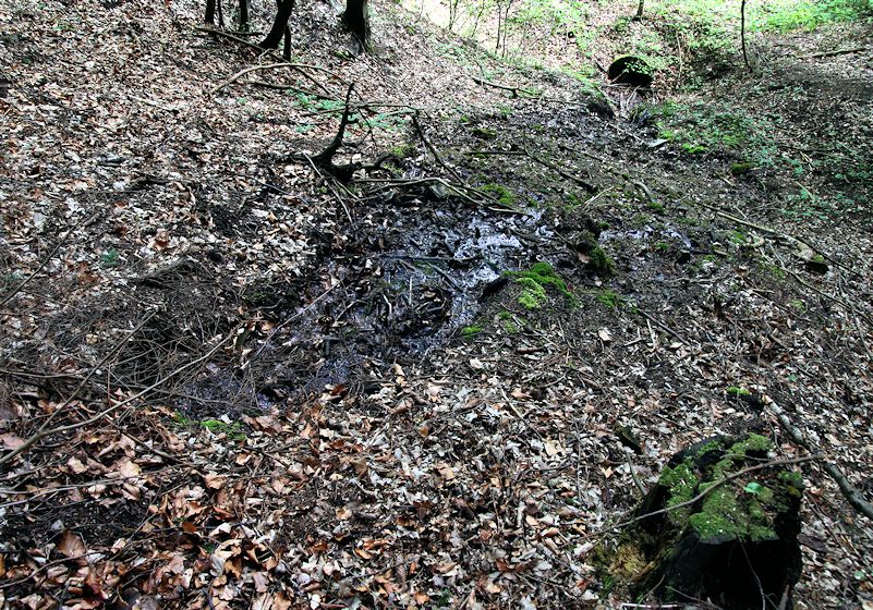pramen Nad Rublovem (8399)