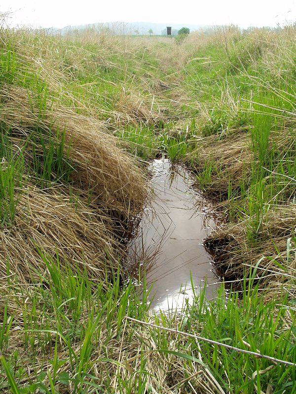 studánka V Laňkusích (8404)