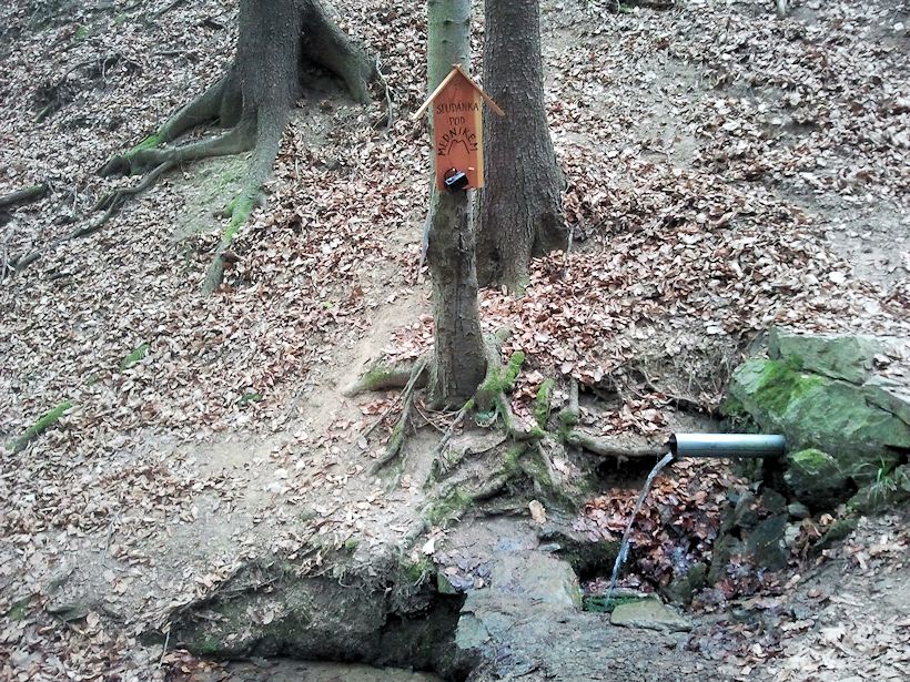 studánka Pod Medníkem (8411)