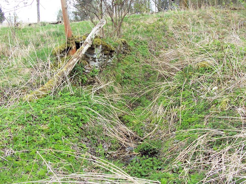 studánka Čeletický pramen (8412)