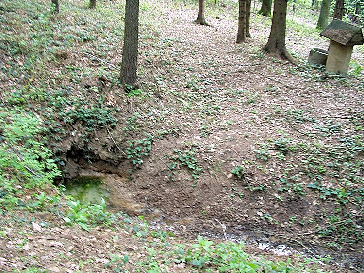 studánka V Luhu (8414)