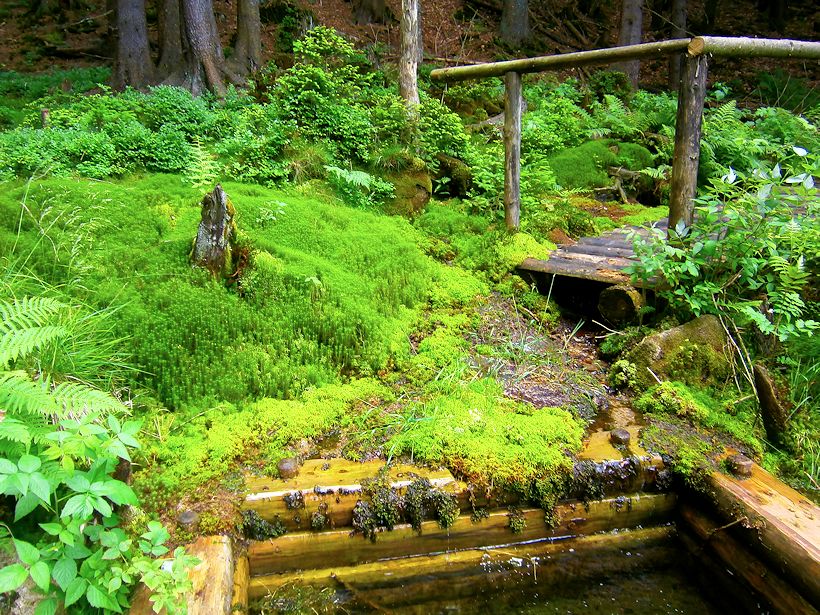 Oslí studánka (8416)