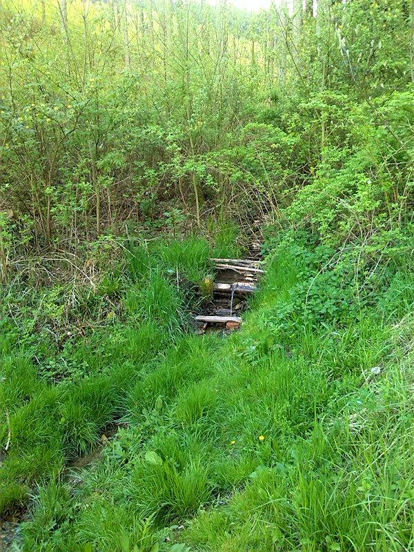 studánka U Belvedéru (8421)