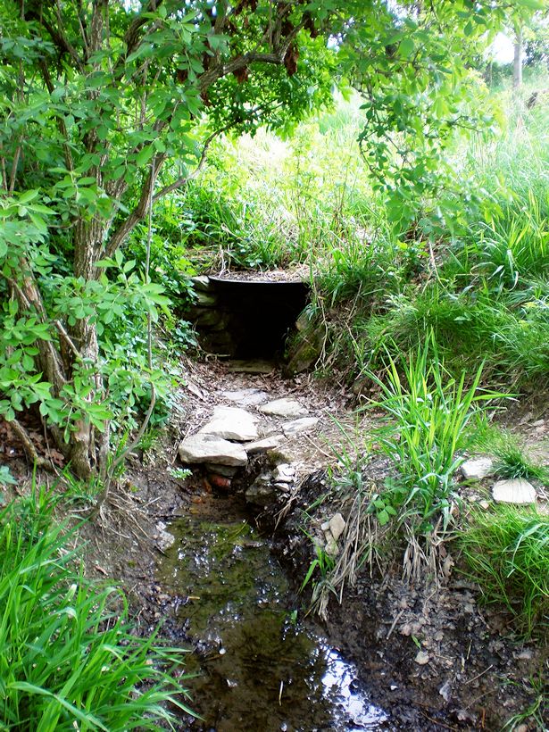 studánka bez jména (8424)
