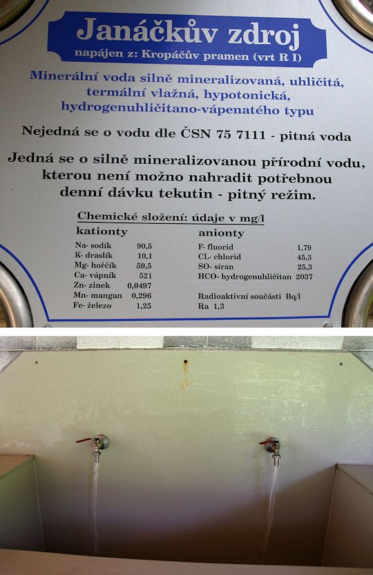 vrt Janáčkův zdroj (8428)