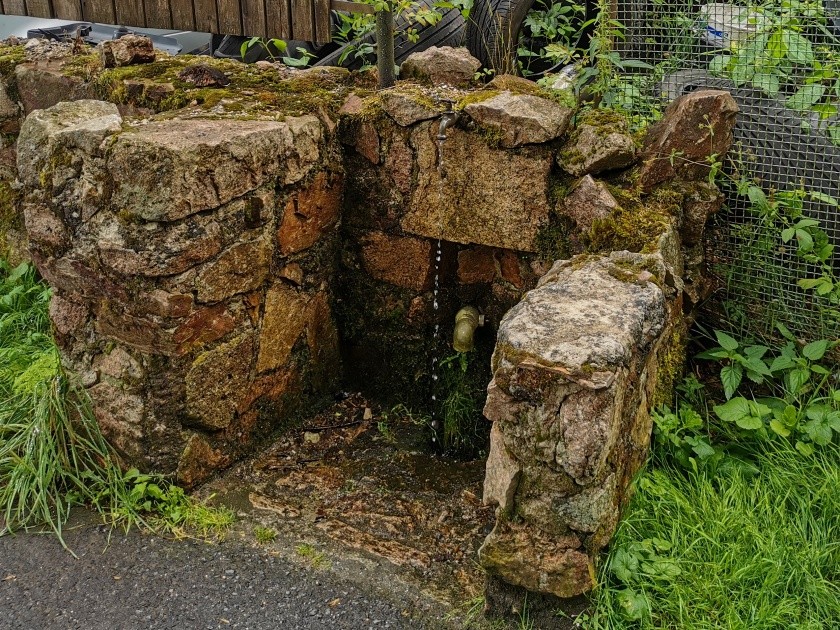 studánka bez jména (8443)