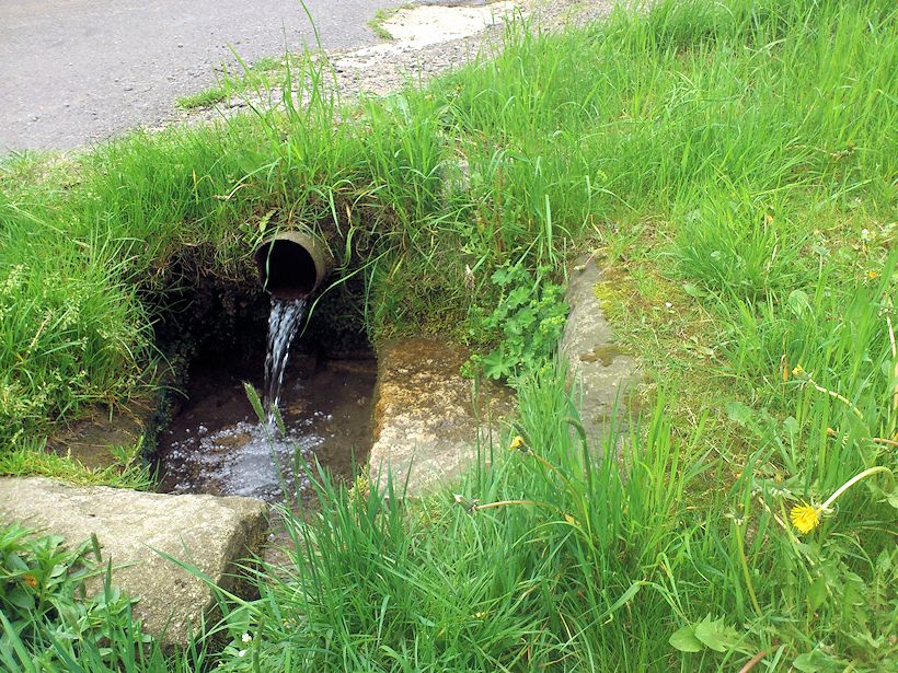 studánka bez jména (8445)