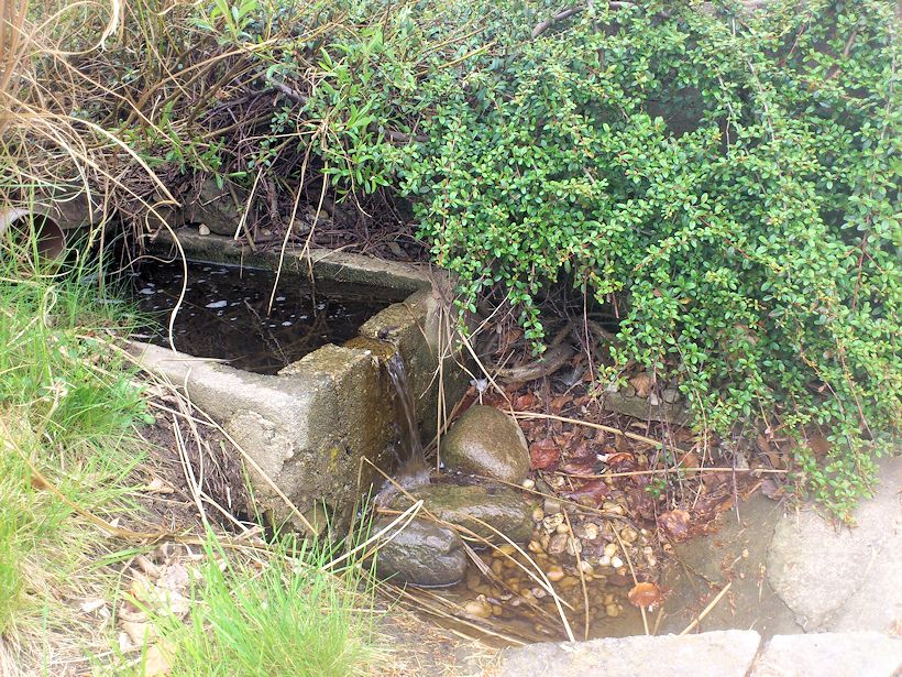 studánka bez jména (8446)