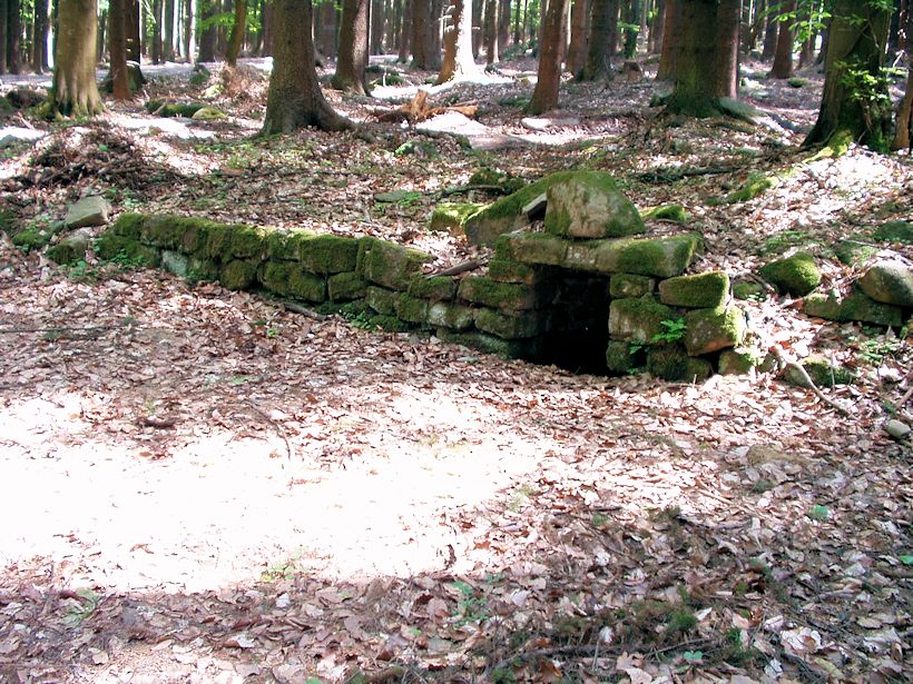 studánka U bývalé zelené boudy (8448)