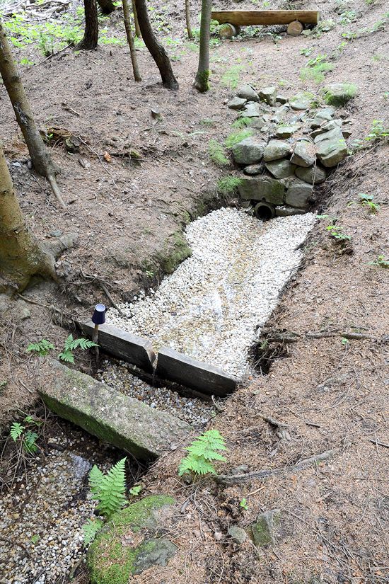 studánka Hadravská I (8449)