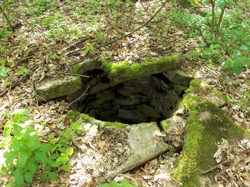 Prácheňská studánka (8454)