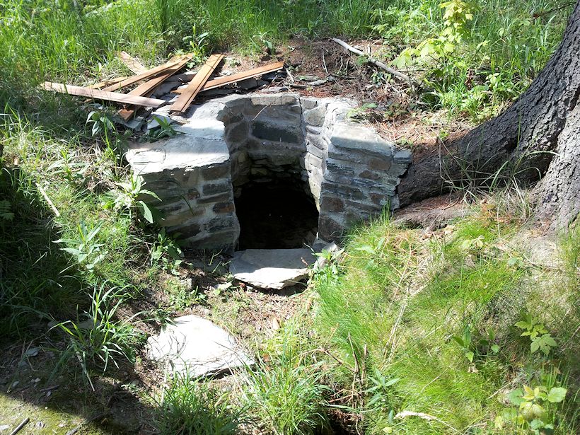 studánka bez jména (8466)