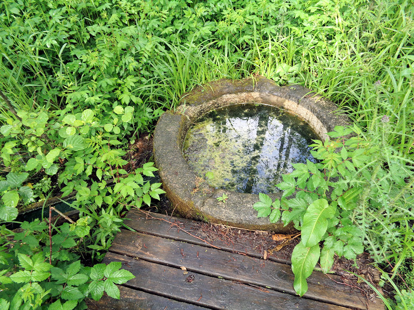 studánka Devátá kyselka II (8471)