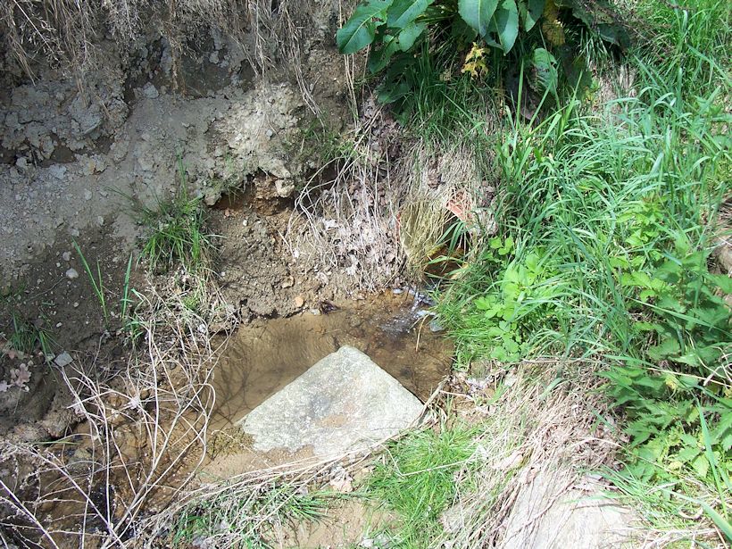 studánka Pod zatáčkou (8482)