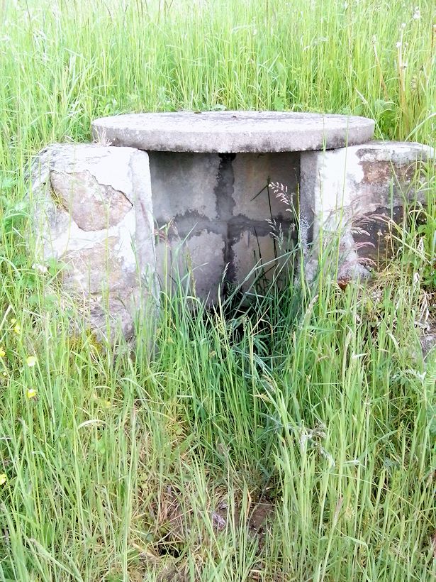 studánka bez jména (8484)