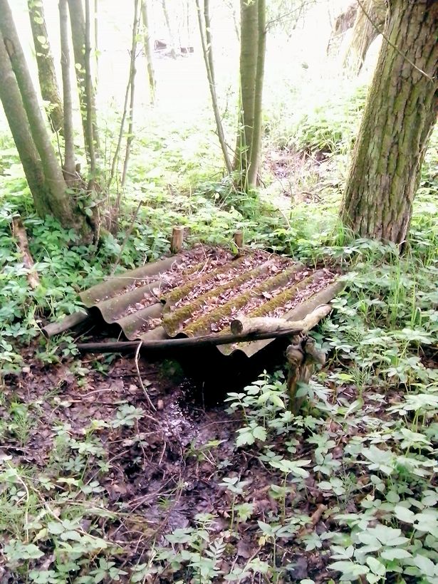 studánka bez jména (8486)