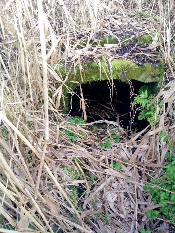 studánka bez jména (8487)