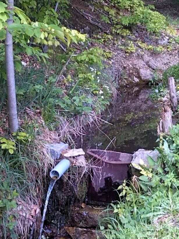 studánka V Bezpráví (8490)