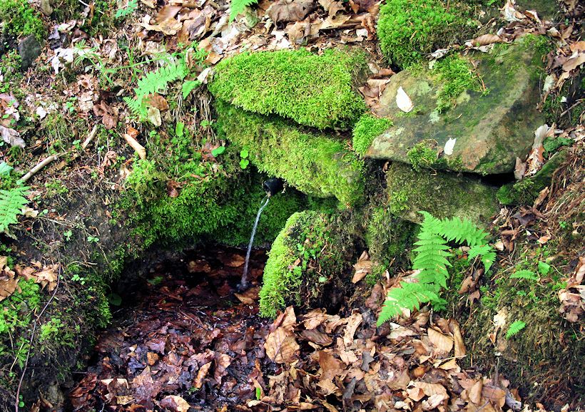 studánka Pod Sadem (8495)