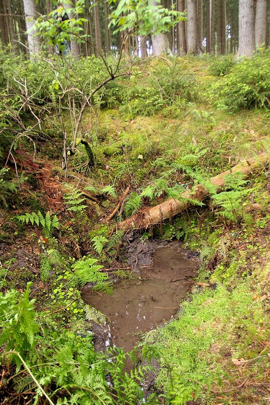 Ájova studánka (8501)