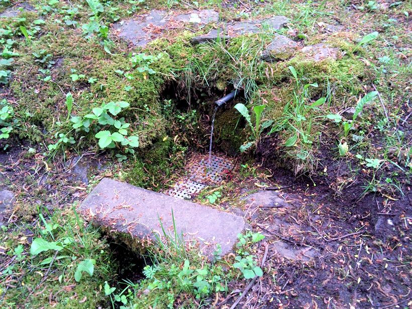 Podhrázskova studánka (8502)