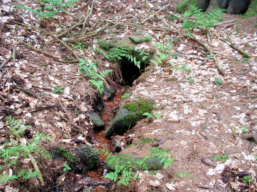 studánka V oboře (8508)