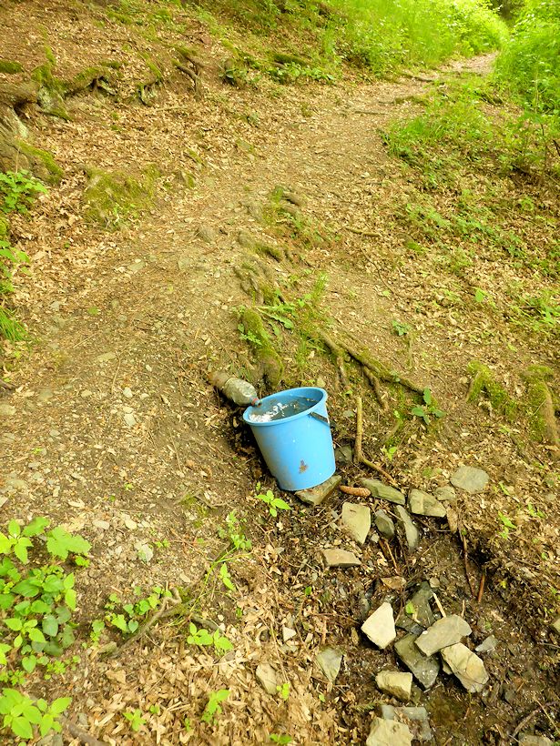 studánka bez jména (8509)