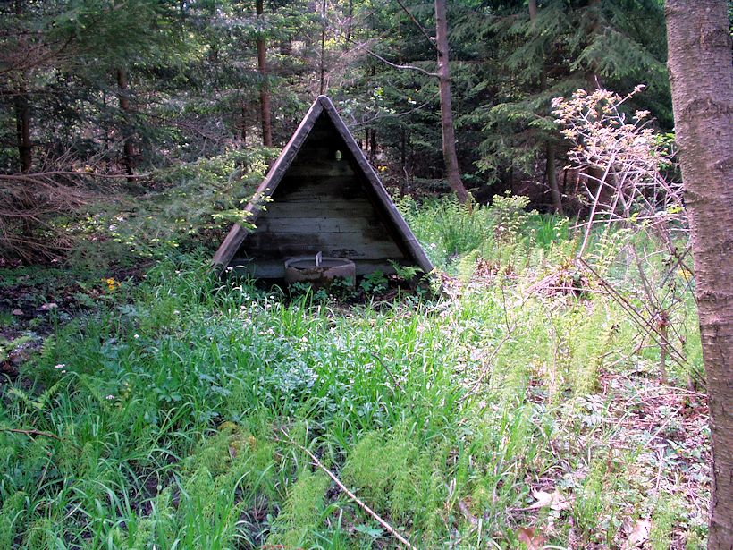 studánka bez jména (8511)
