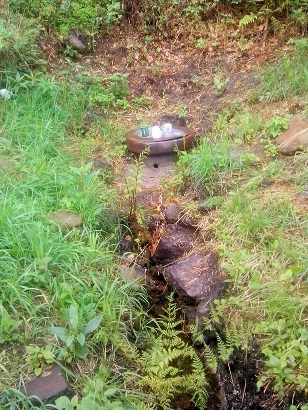 studánka bez jména (8513)