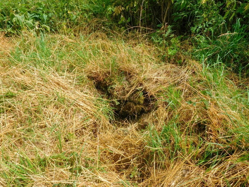 studánka Červený důl (8525)