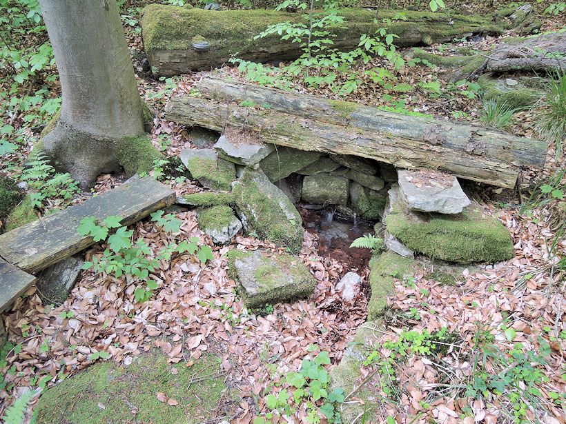 studánka Pod Hřebenem (8527)