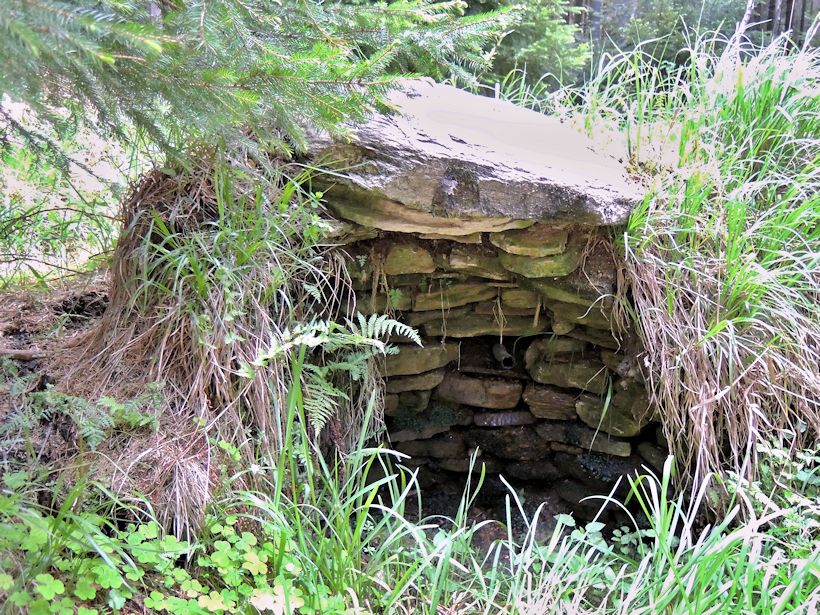 studánka U Reslova kříže (8531)