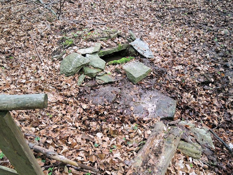 studánka Nad jedenáctkou (8534)