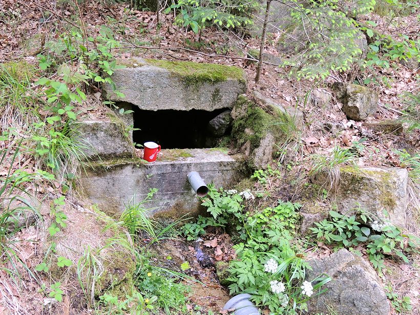 studánka U Černého potoka (8539)