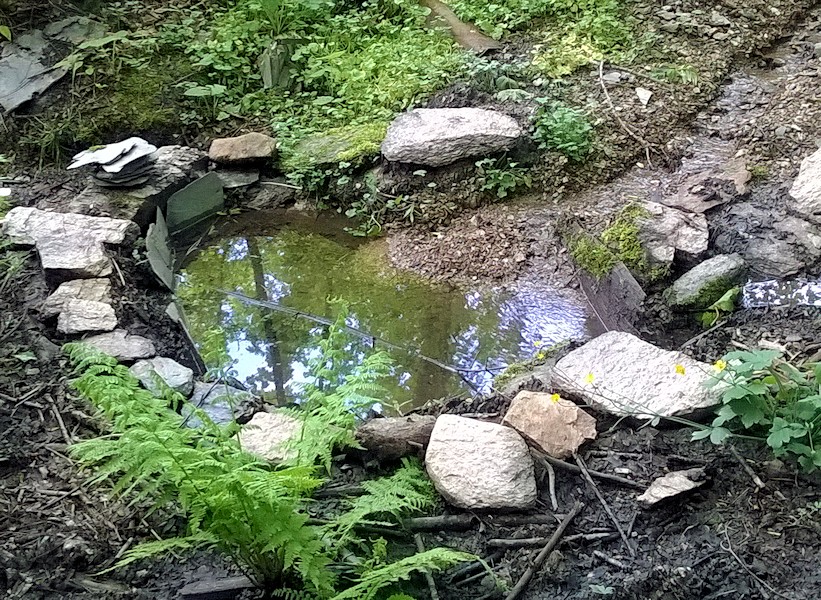 studánka bez jména (8555)